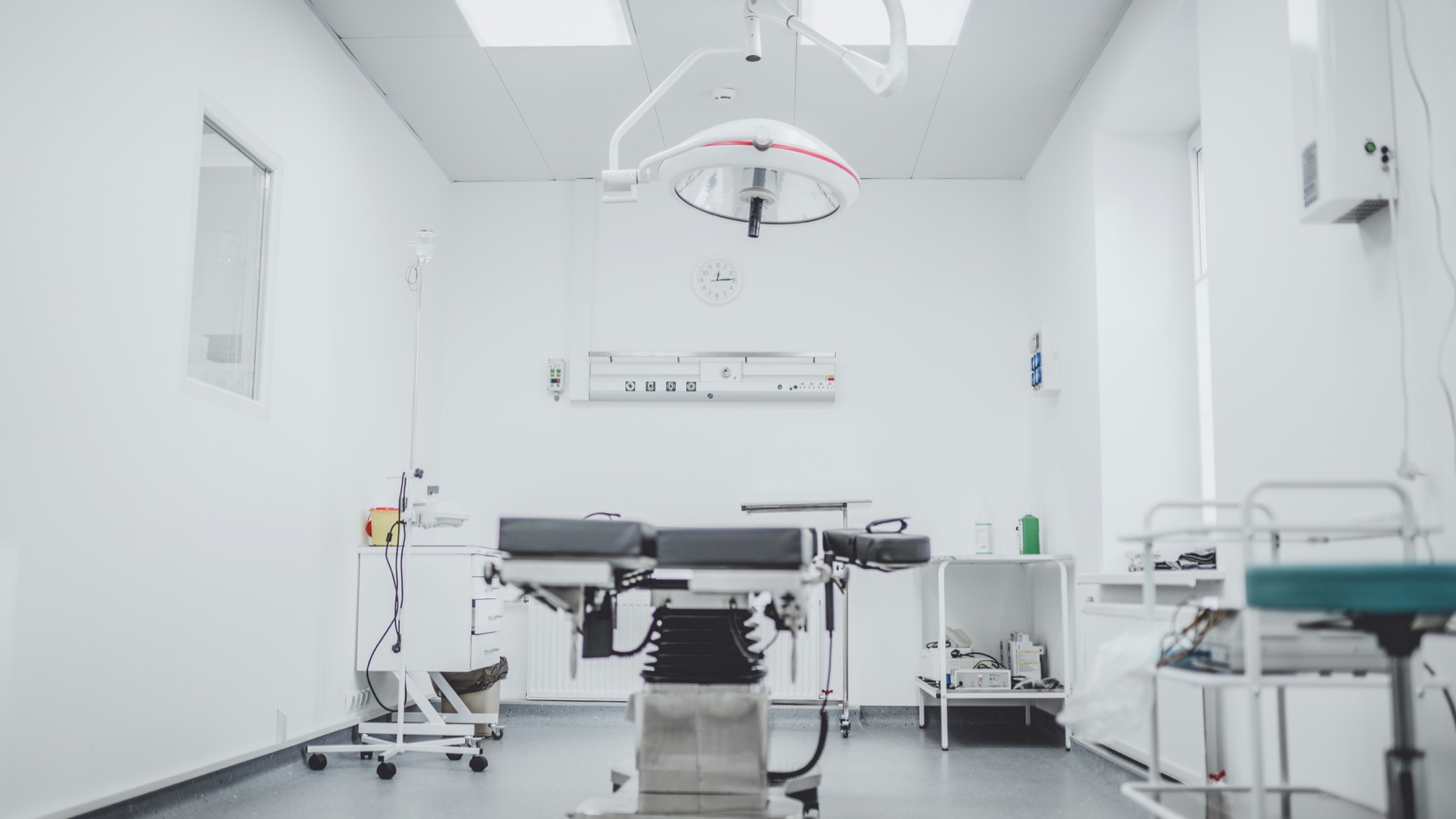 A bright veterinary treatment room